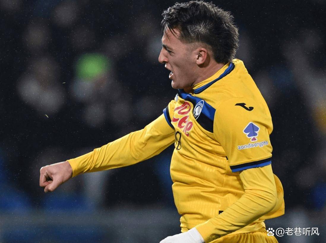 开源证券维 开源证券维